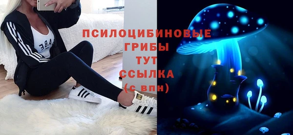 дмт Алзамай