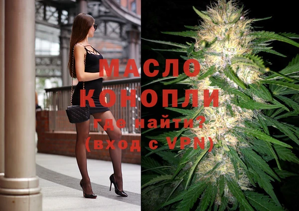 дмт Алзамай