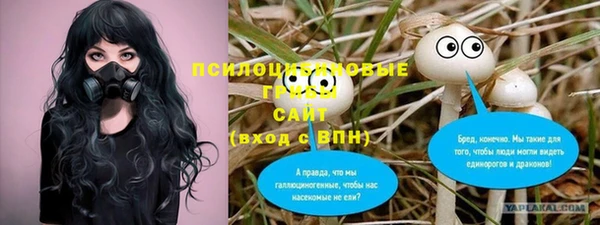 дмт Алзамай